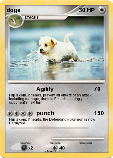 Pokemon doge