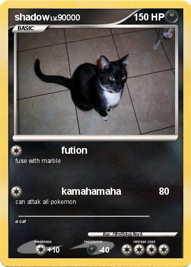 Pokemon shadow
