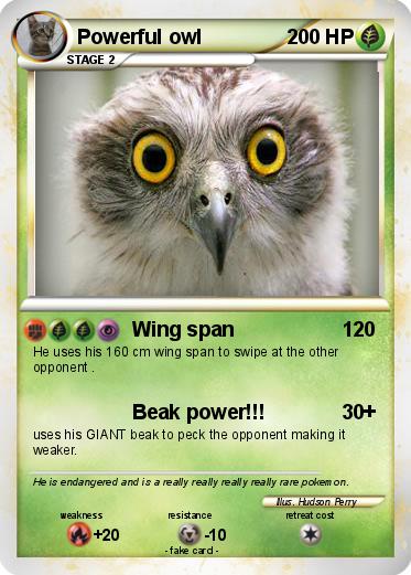 Pokemon Powerful owl