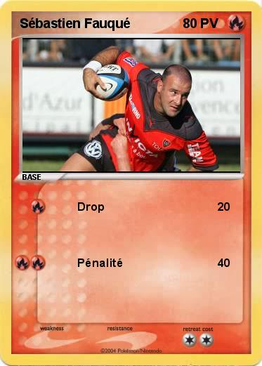 Pokemon Sébastien Fauqué