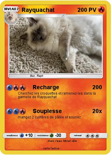 Pokemon Rayquachat