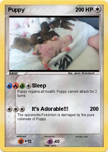 Pokemon Puppy