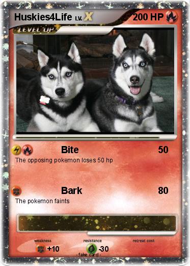 Pokemon Huskies4Life