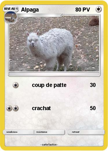 Pokemon Alpaga