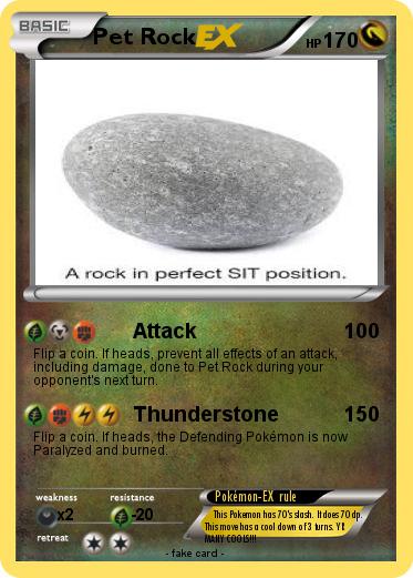 Pokemon Pet Rock