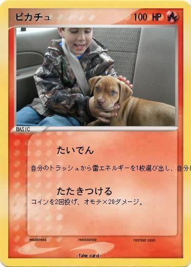 Pokemon ピカチュ
