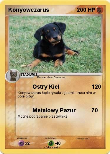 Pokemon Konyowczarus