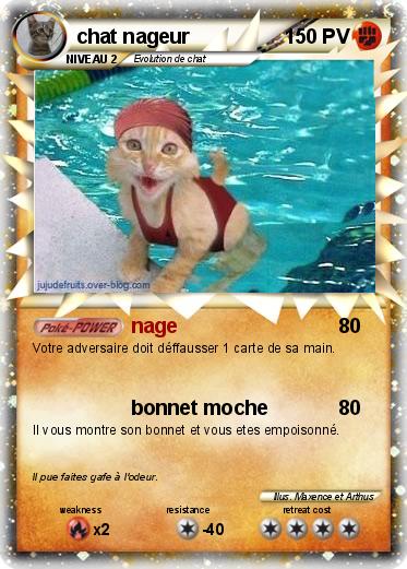 Pokemon chat nageur