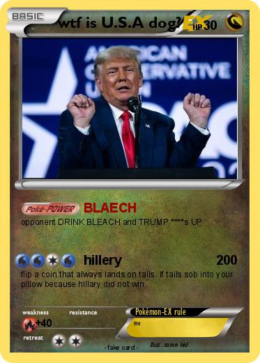 Pokemon wtf is U.S.A dog?