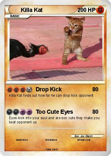 Pokemon Killa Kat