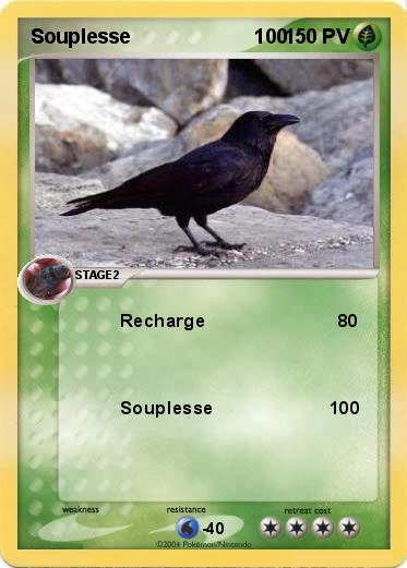 Pokemon Souplesse                      100