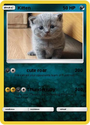 Pokemon Kitten