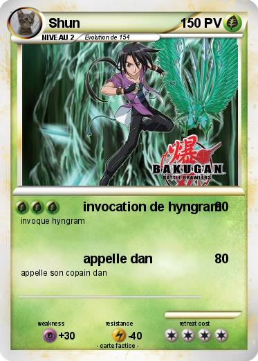 Pokemon Shun