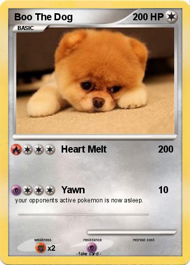 Pokemon Boo The Dog