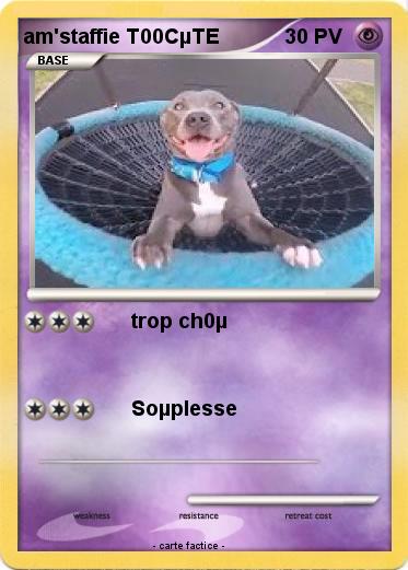 Pokemon am'staffie T00CµTE