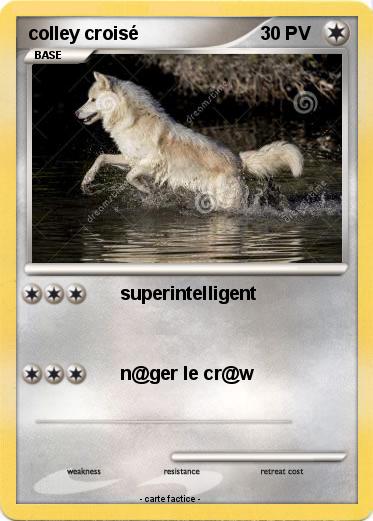 Pokemon colley croisé