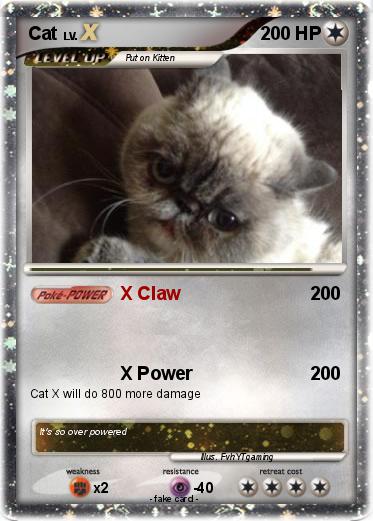 Pokemon Cat