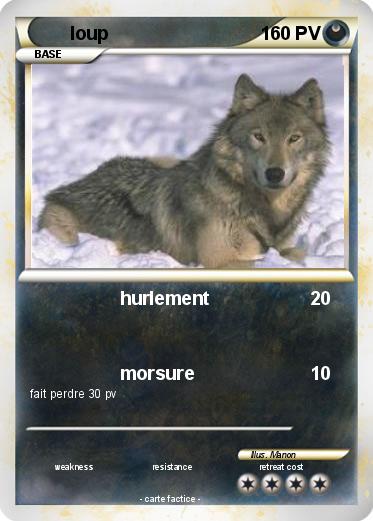 Pokemon loup