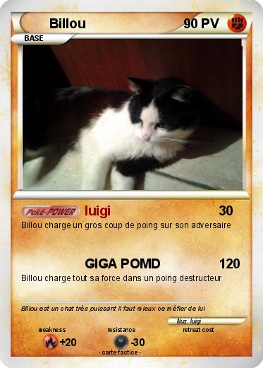 Pokemon Billou