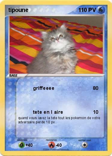 Pokemon tipoune
