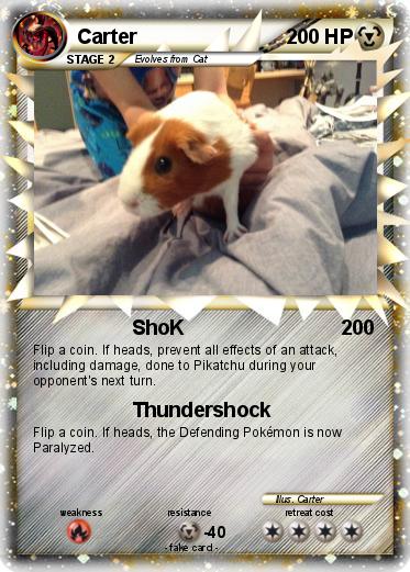 Pokemon Carter