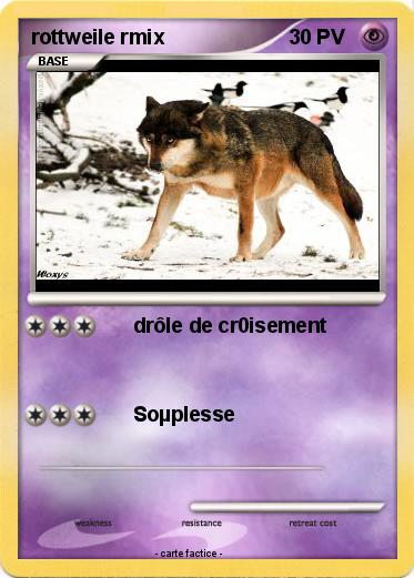 Pokemon rottweile rmix