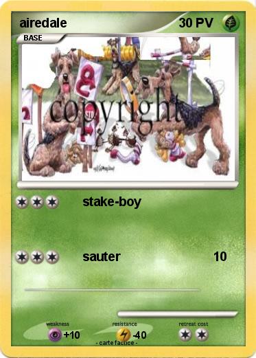 Pokemon airedale