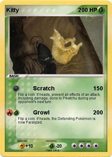 Pokemon Kitty