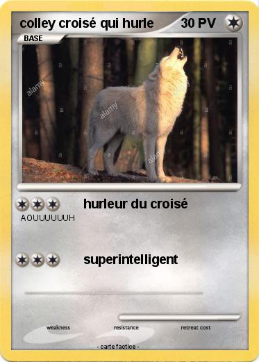 Pokemon colley croisé qui hurle