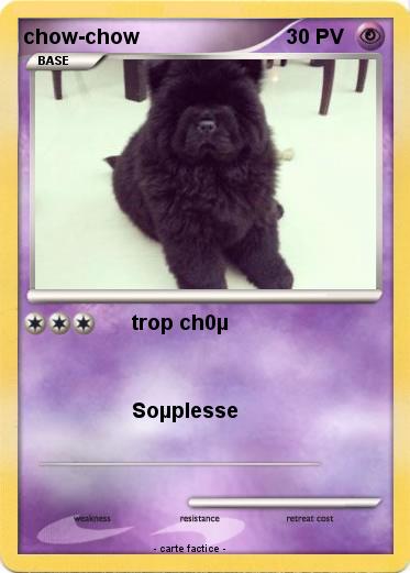 Pokemon chow-chow