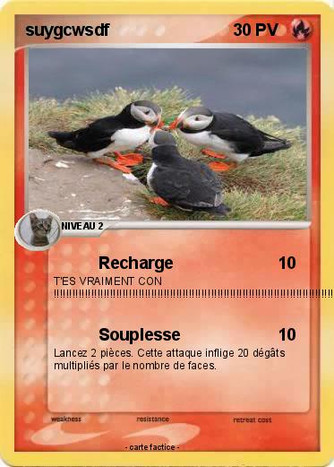 Pokemon suygcwsdf