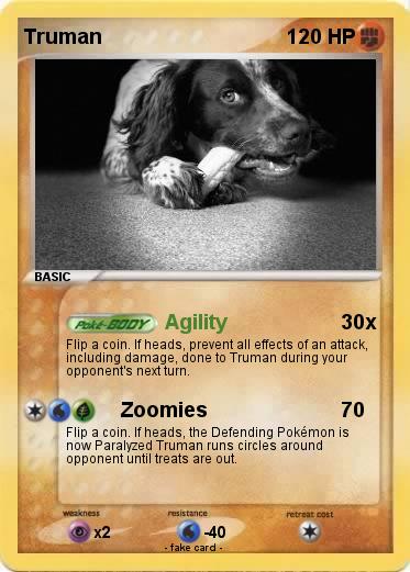 Pokemon Truman