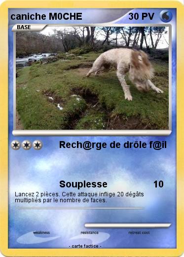 Pokemon caniche M0CHE