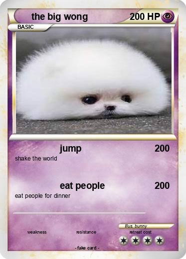 Pokemon the big wong