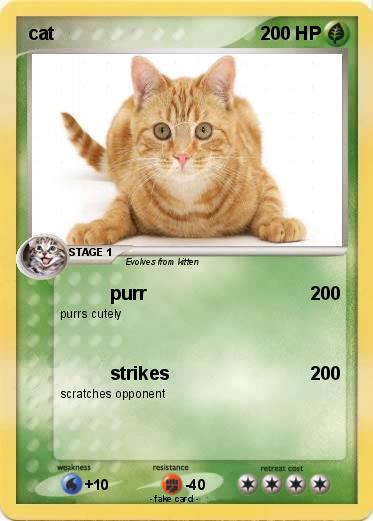 Pokemon cat