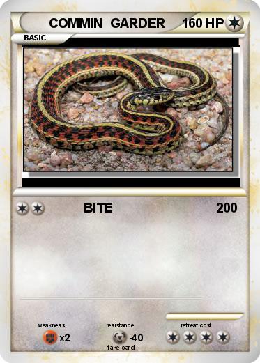 Pokemon COMMIN  GARDER