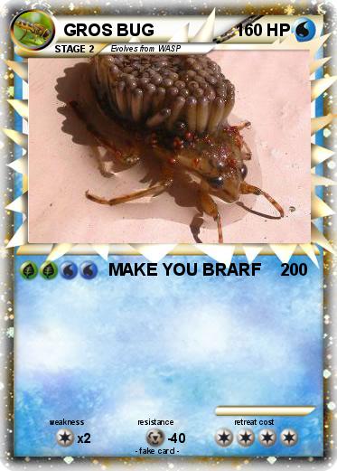 Pokemon GROS BUG