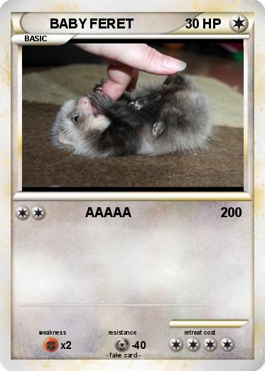 Pokemon BABY FERET