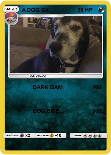 Pokemon A DOG GX