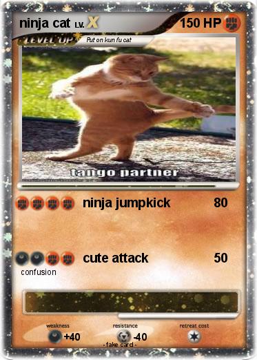 Pokemon ninja cat