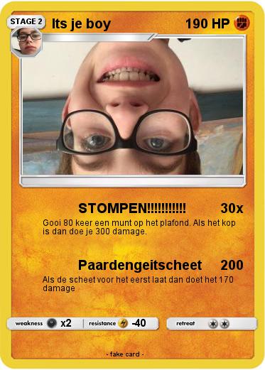Pokemon Its je boy