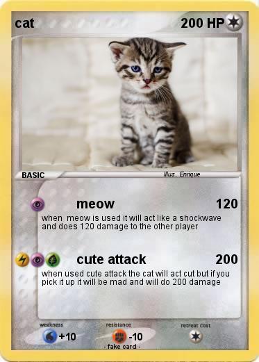 Pokemon cat