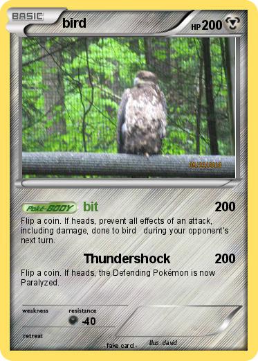 Pokemon bird