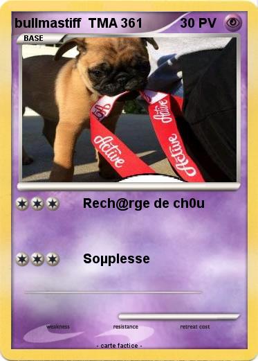 Pokemon bullmastiff  TMA 361