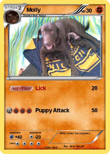 Pokemon Molly
