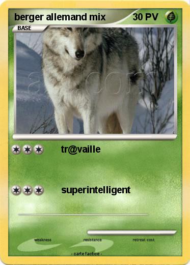 Pokemon berger allemand mix