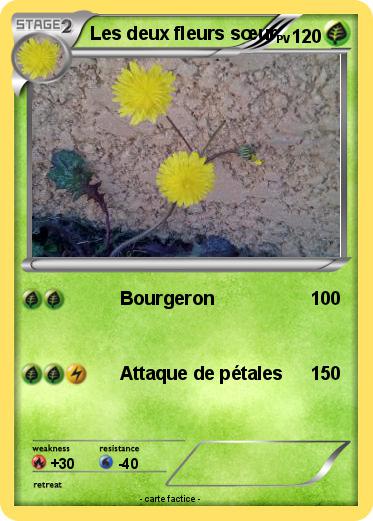 Pokemon Les deux fleurs sœur