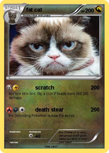 Pokemon fat cat