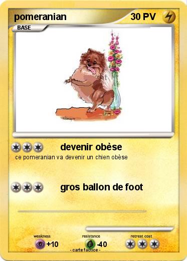 Pokemon pomeranian