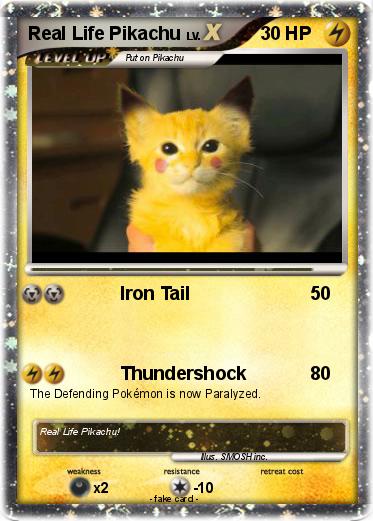 Pokemon Real Life Pikachu